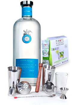 COCKTAIL MIX KIT WITH CASA DRAGONES TEQUILA