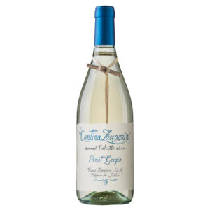 Cantina Zaccagnini Pinot Grigio