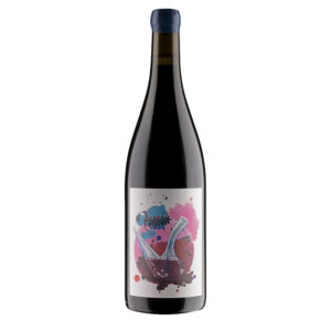 Finca Torremilanos Castilla y Leon El porrón de Lara